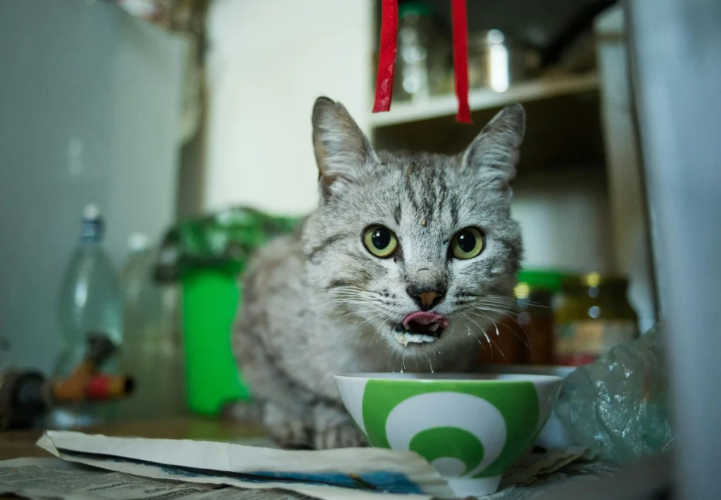 Picky Eaters