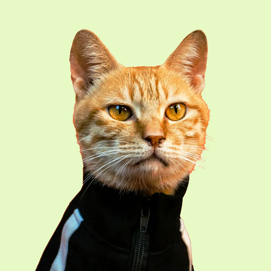 Singapore's Trusted Pet Magazine